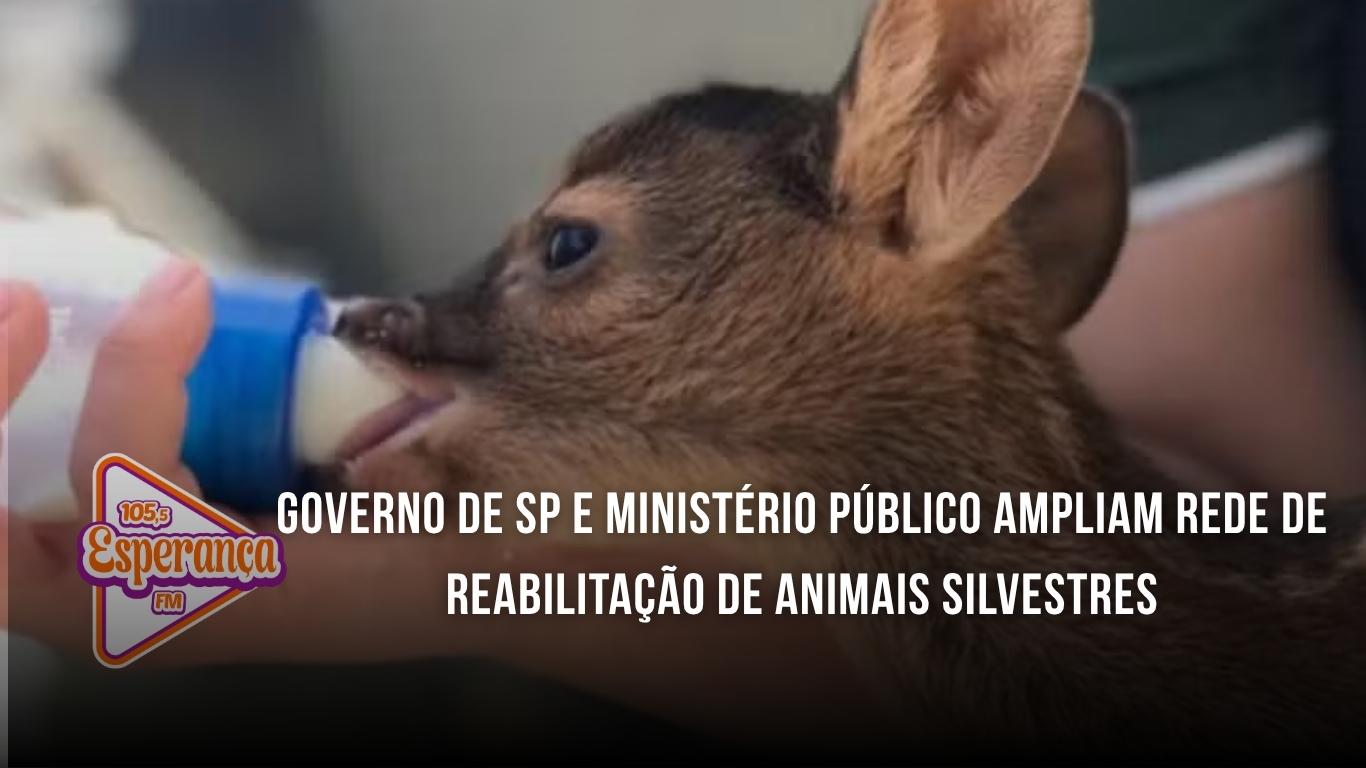 Governo de SP e Ministério Público ampliam rede de reabilitação de animais silvestres