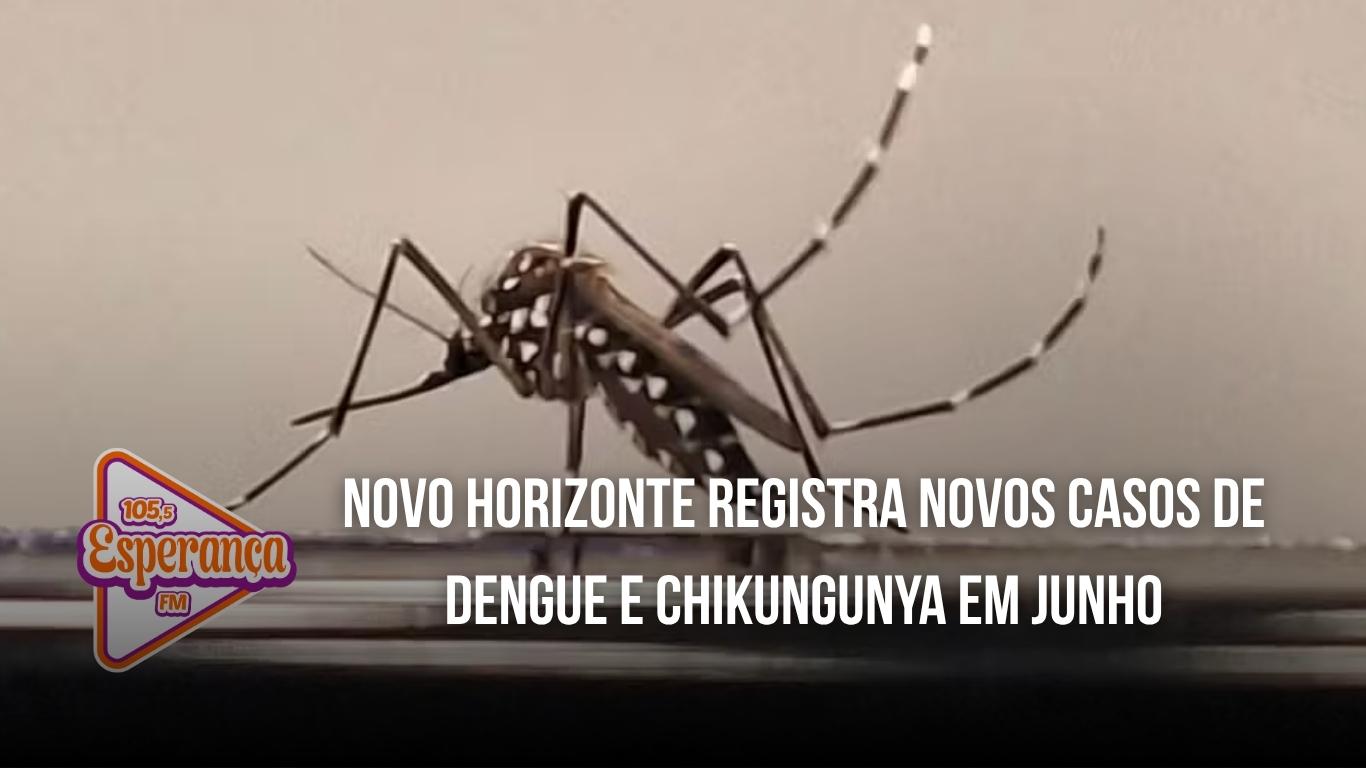 Novo Horizonte registra novos casos de dengue e chikungunya em junho