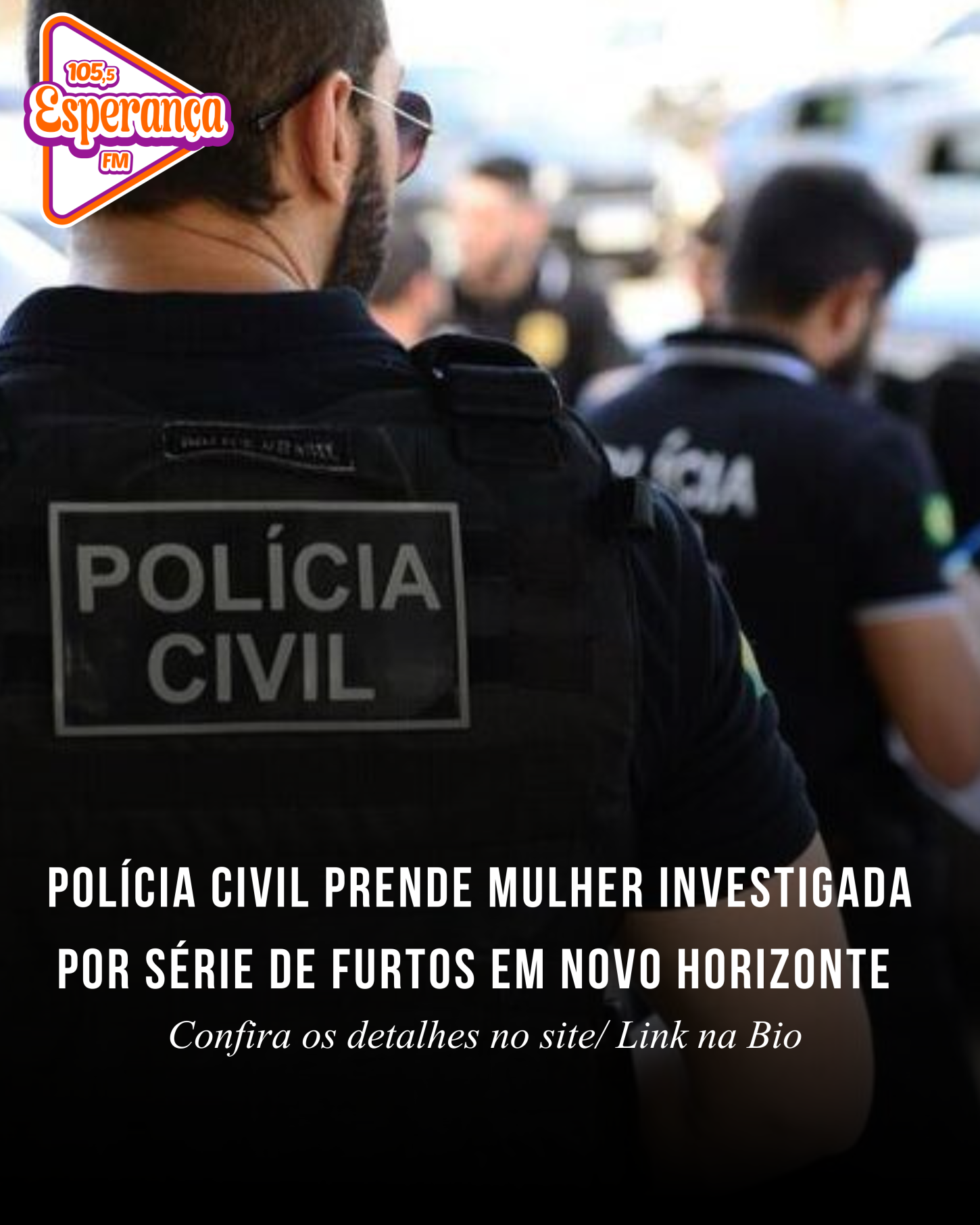 Polícia Civil prende mulher investigada por série de furtos em Novo Horizonte