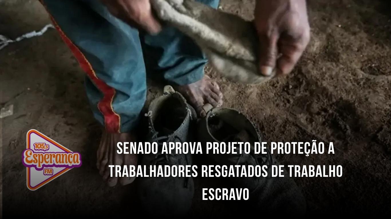Senado aprova projeto de proteção a trabalhadores resgatados de trabalho escravo