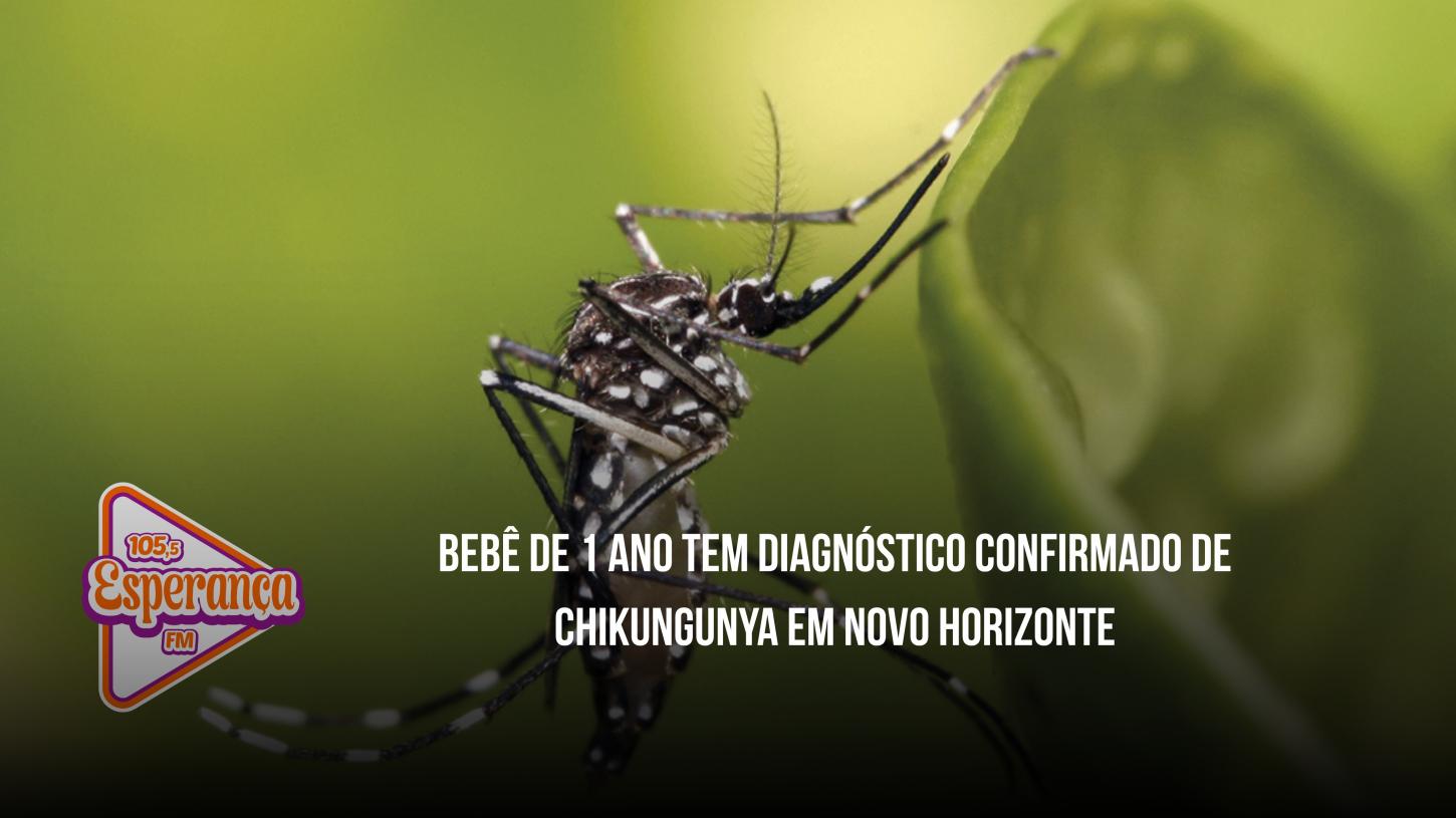 Bebê de 1 ano tem diagnóstico confirmado de chikungunya em Novo Horizonte