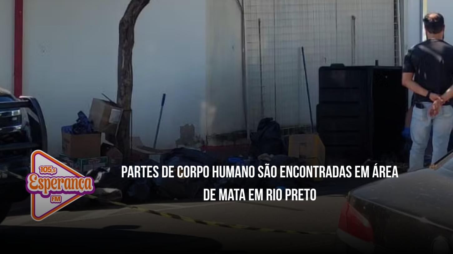 Partes de corpo humano são encontradas em área de mata em Rio Preto