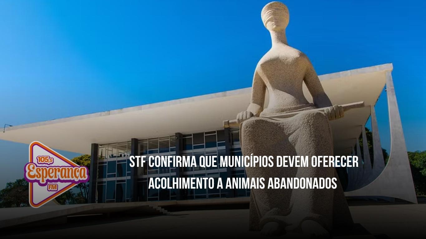 STF confirma que municípios devem oferecer acolhimento a animais abandonados e vítimas de maus-tratos