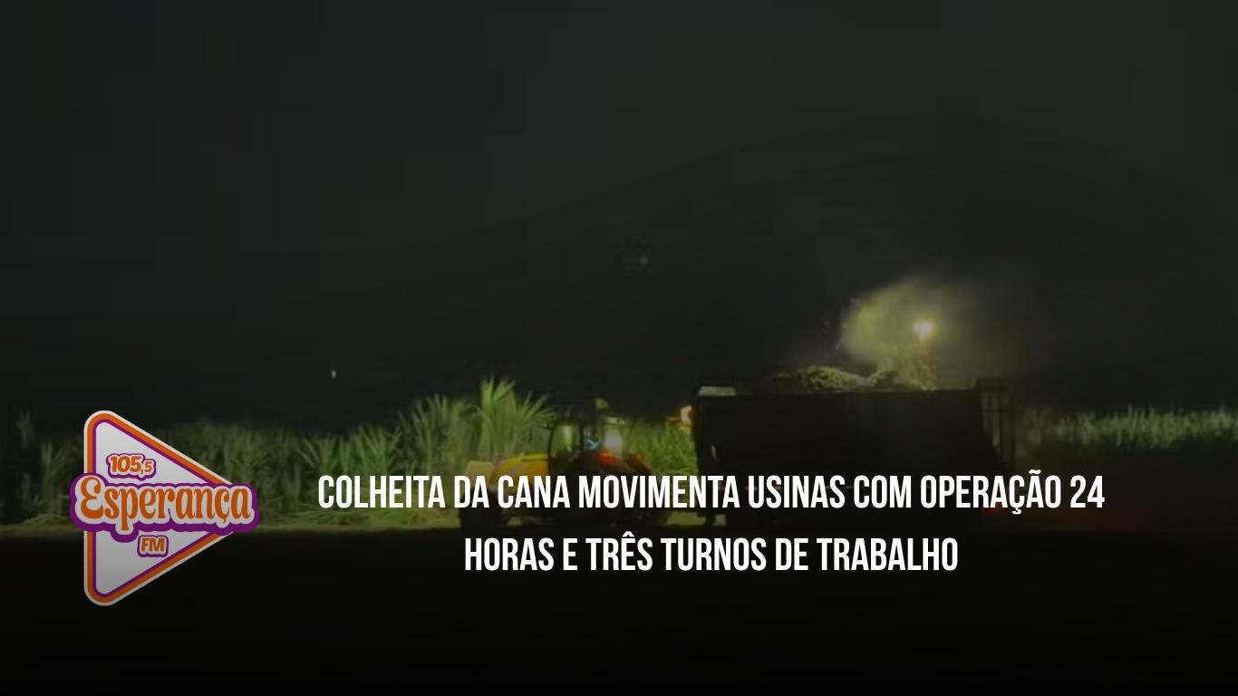 Colheita da cana movimenta usinas com operação 24 horas e três turnos de trabalho