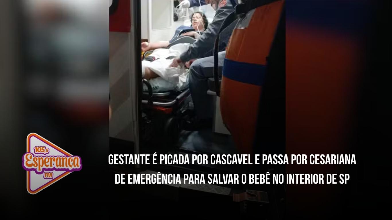 Gestante é picada por cascavel e passa por cesariana de emergência para salvar o bebê no interior de SP