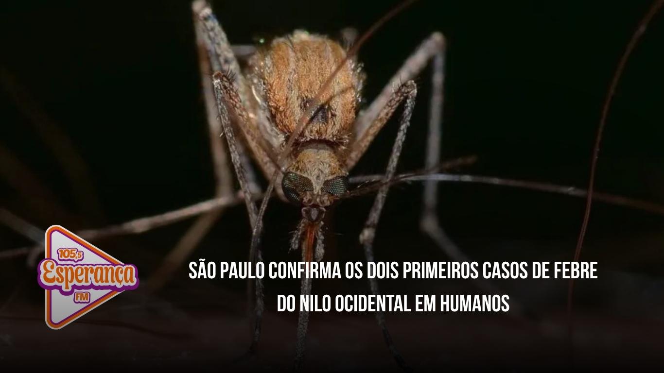 São Paulo confirma os dois primeiros casos de Febre do Nilo Ocidental em humanos