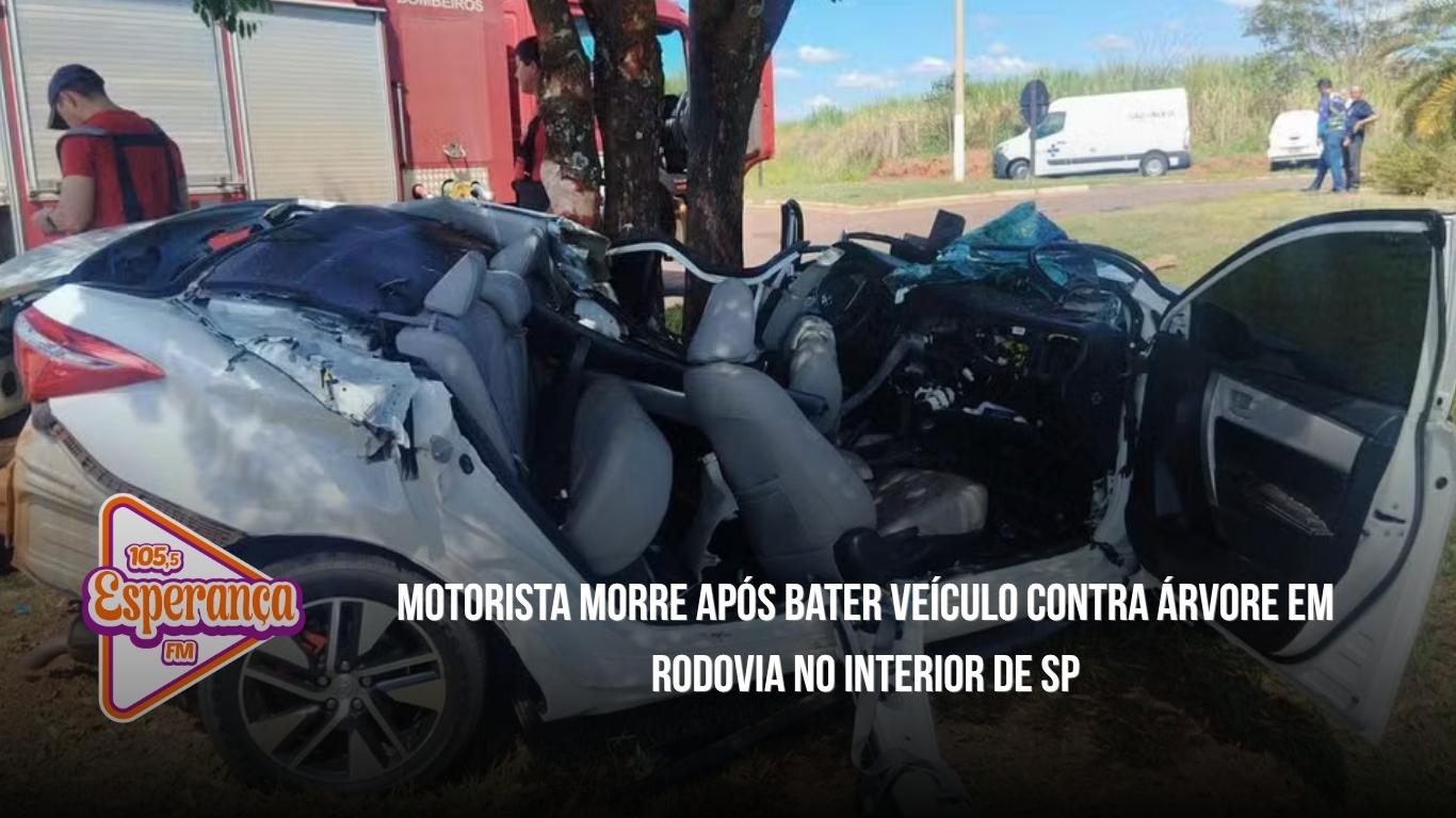 Motorista morre após bater veículo contra árvore em rodovia no interior de SP