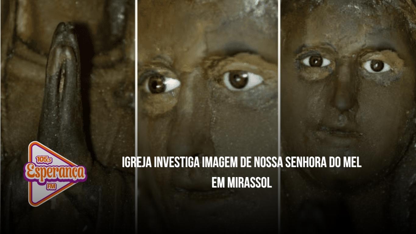 Igreja investiga imagem de Nossa Senhora do Mel em Mirassol