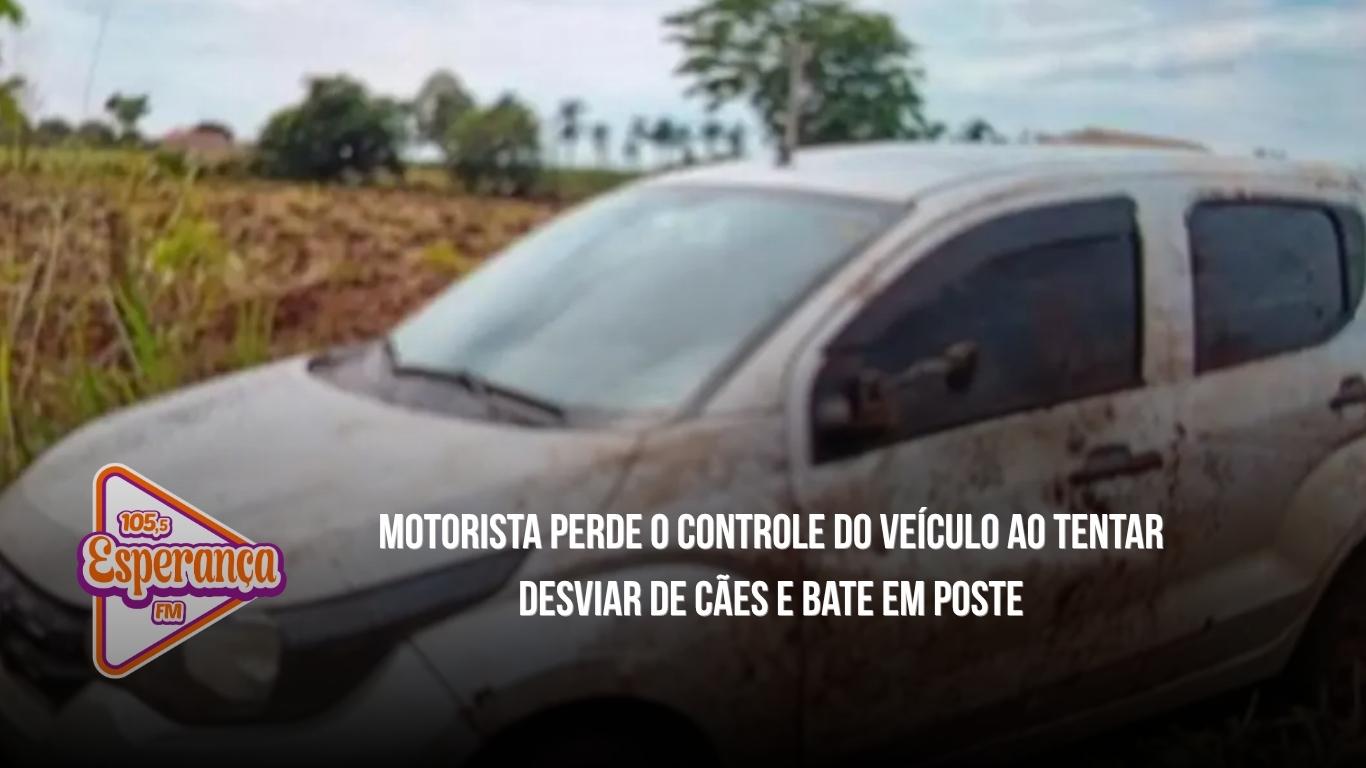 Motorista perde o controle do veículo ao tentar desviar de cães e bate em poste