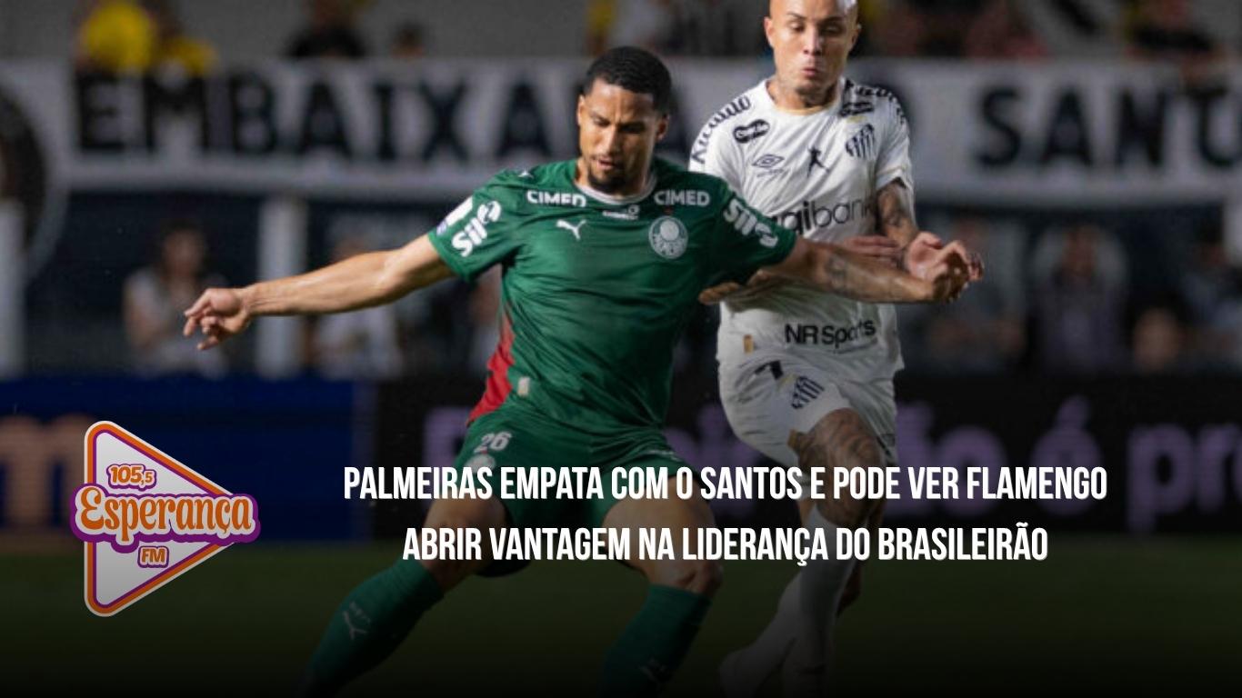 Palmeiras empata com o Santos e pode ver Flamengo abrir vantagem na liderança do Brasileirão