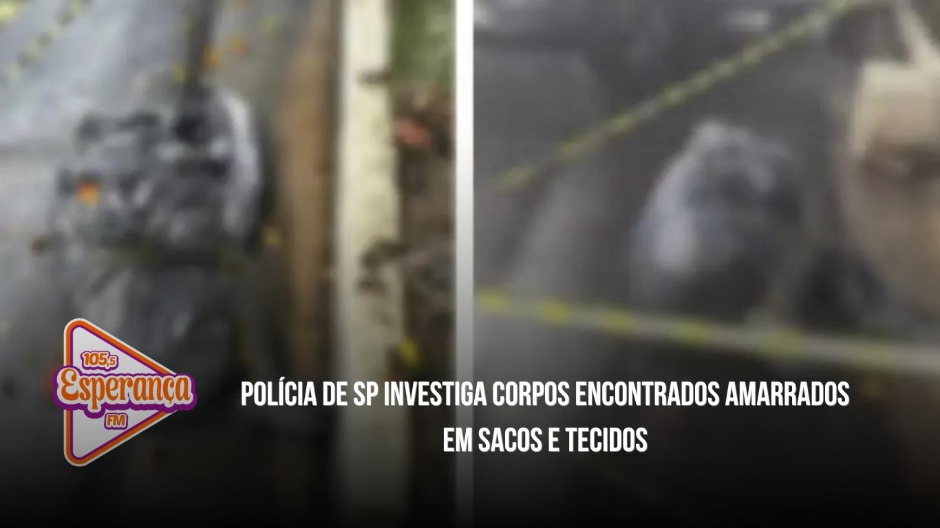 Polícia de SP investiga corpos encontrados amarrados em sacos e tecidos